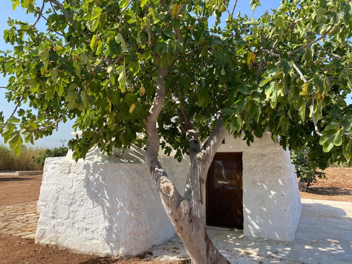 فيلا Trullo Seaside Polignano بولينيانو آ ماري المظهر الخارجي الصورة